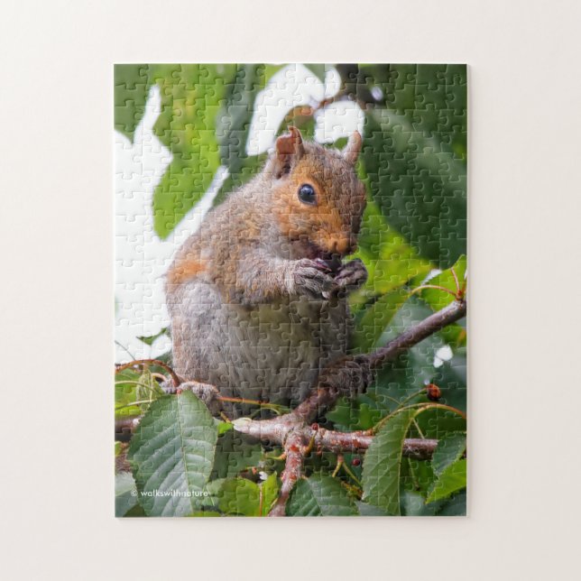 Cute Cherry Picking Eastern Grey Squirrel Jigsaw Puzzle (Vertical)