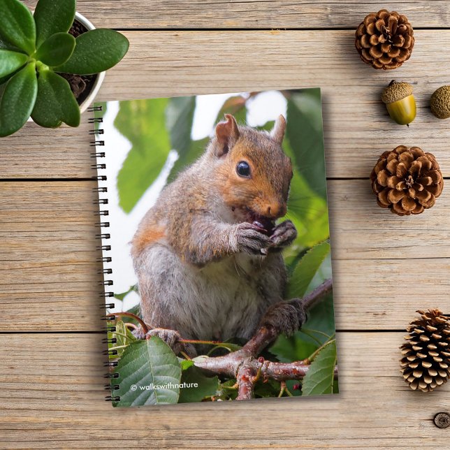 Cute Cherry Picking Eastern Grey Squirrel Spiral Notebook (Cherry Picking Eastern Grey Squirrel Journal Cover Photo)