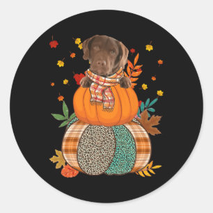 Cute Chesapeake Bay Retriever Pumpkinthanksgiving  Classic Round Sticker