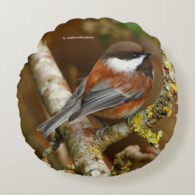 Cute Chestnut-Backed Chickadee on the Pear Tree Round Cushion (Front)