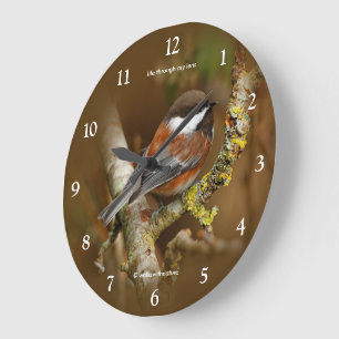 Cute Chestnut-Backed Chickadee Songbird in Tree Large Clock