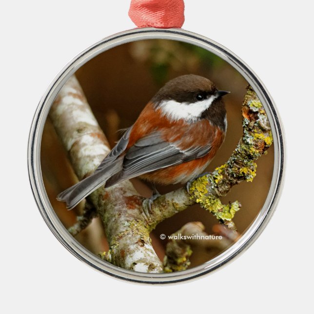 Cute Chestnut-Backed Chickadee Songbird in Tree Metal Tree Decoration (Front)