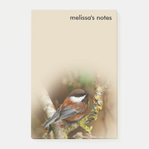 Cute Chestnut-Backed Chickadee Songbird in Tree Post-it Notes