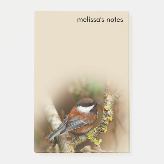 Cute Chestnut-Backed Chickadee Songbird in Tree Post-it Notes (Front)