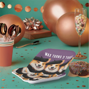 Cute Chic Corgi Dogs Wish You Happy Birthday Paper Plate