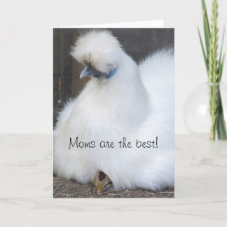 Cute chick "Moms are the best" Mother's Day card
