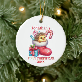 Cute Chick with Hedgehog Fur Christmas Ceramic Tree Decoration