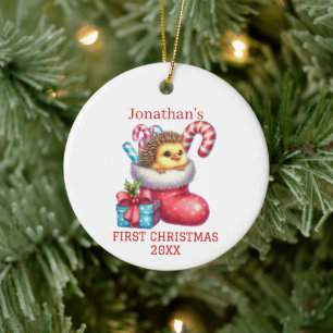 Cute Chick with Hedgehog Fur Christmas Ceramic Tree Decoration