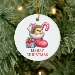 Cute Chick with Hedgehog Fur Christmas Ceramic Tree Decoration