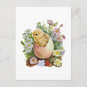 Cute Chicken in the Eggshell & Watercolor Flowers Postcard