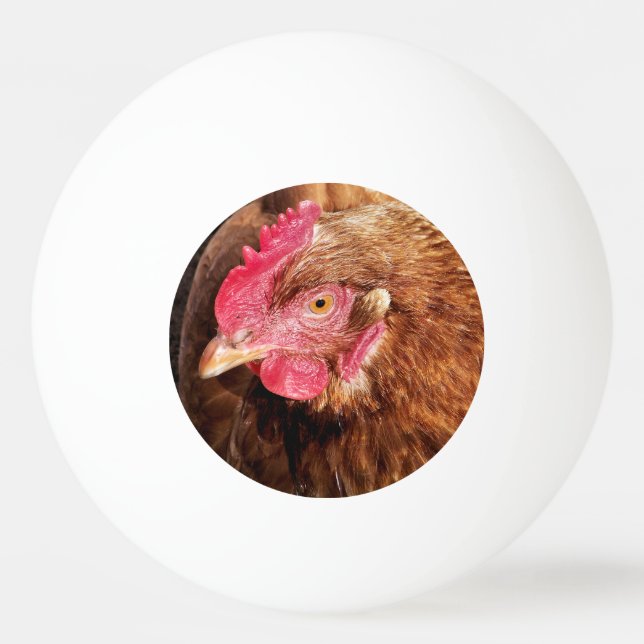 CUTE CHICKEN   PING PONG BALL (Front)