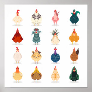 Cute Chicken Poster