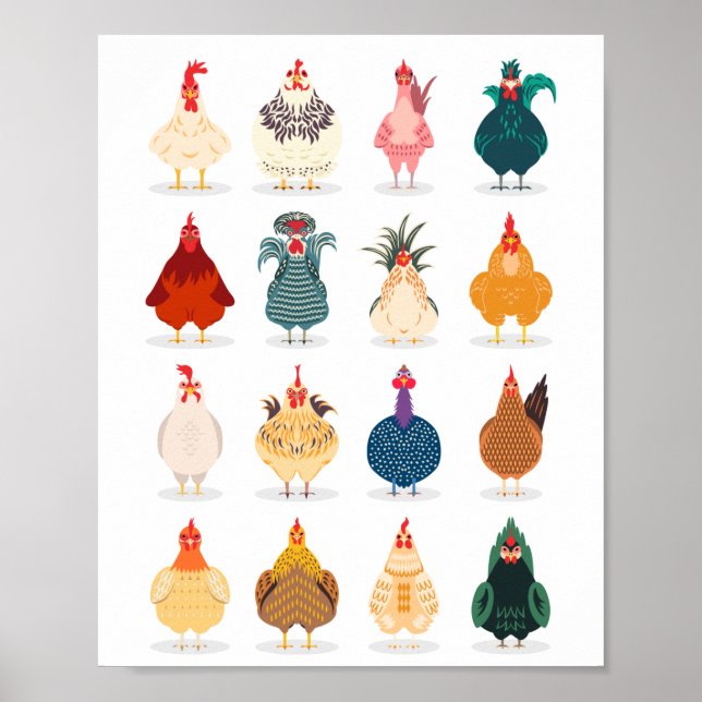 Cute Chicken Poster (Front)