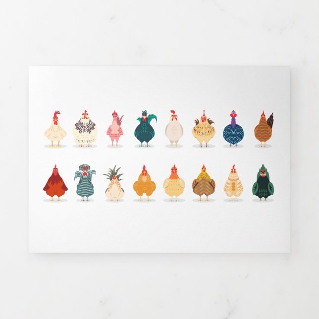 Cute Chicken Tri-Fold Card (Cover)
