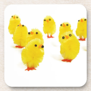cute chicks coaster