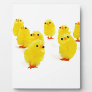 cute chicks plaque