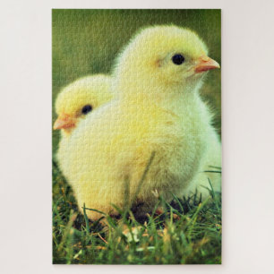Cute Chicks - Sweet - Jigsaw Puzzle
