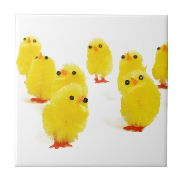 cute chicks tile (Front)