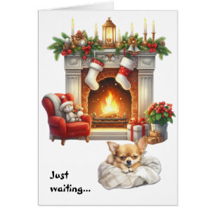 Cute Chihuahua Dog Waiting for Christmas