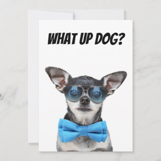 Cute chihuahua greeting card