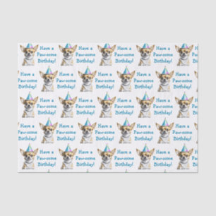 Cute Chihuahua in Birthday Hat Tissue Paper