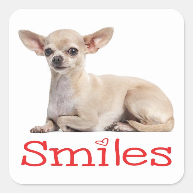 Cute Chihuahua Mum Puppy Dog Rescue Hello Love Square Sticker (Front)
