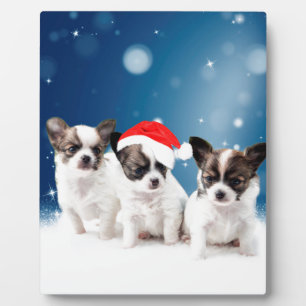Cute Chihuahua Puppies with Santa Hat Christmas Plaque