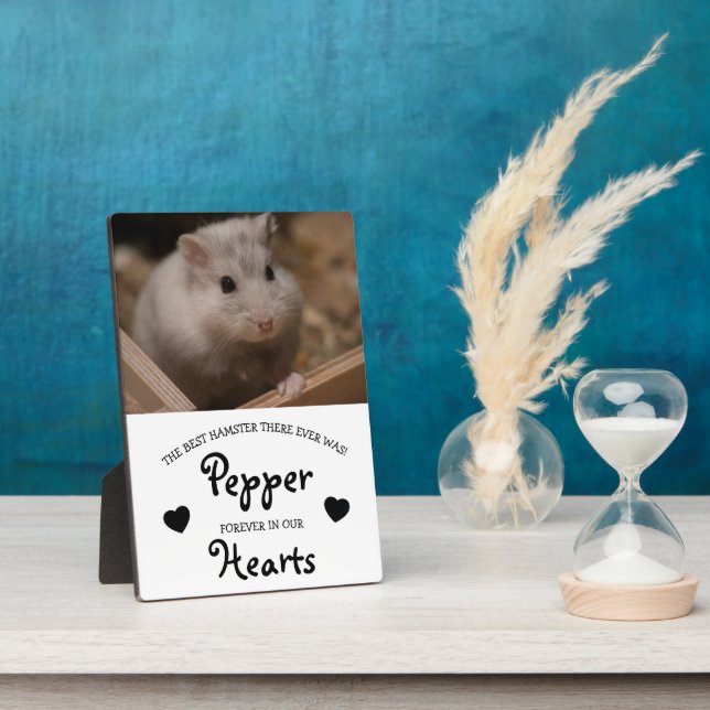 Cute Children's Pet Memorial Plaque (Side)