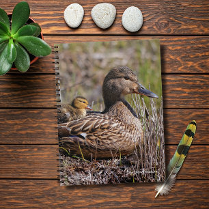 Cute Chillin' Mallard Mum Duck & Baby Duckling Spiral Notebook