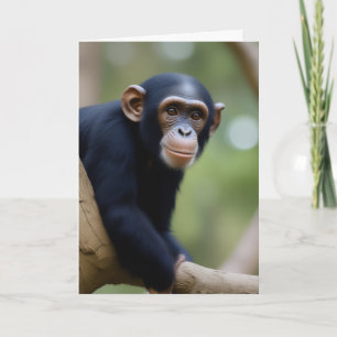 Cute Chimp Birthday Card