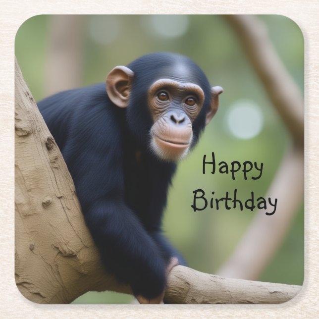Cute Chimpanzee Birthday Square Paper Coaster (Front)