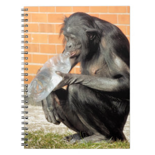 CUTE CHIMPANZEE NOTEBOOK