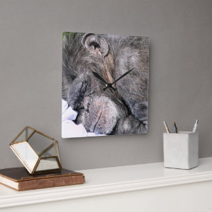 CUTE CHIMPANZEE SQUARE WALL CLOCK