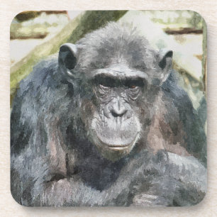 CUTE CHIMPANZEES COASTER