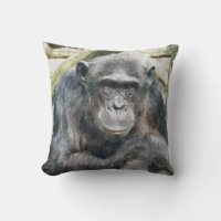 CUTE CHIMPANZEES