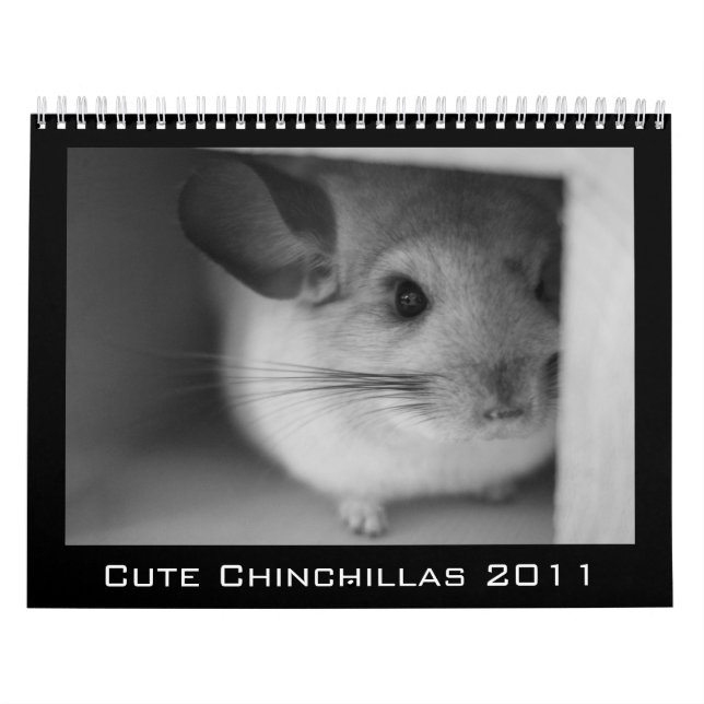 Cute Chinchilla Calendar 2011 (Cover)