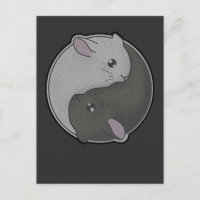 Cute Chinchilla Gift Yin Yang Rodent Pet Taoism
