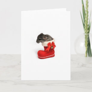 Cute Chinchilla in Christmas Stocking Holiday Card