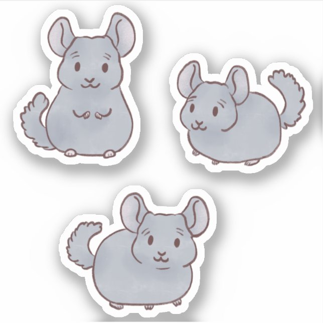 Cute Chinchillas (Front)