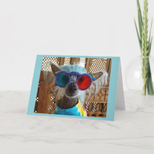 Cute Chinese Crested Hippie Dog Greeting Card