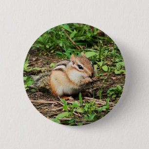 Cute Chipmunk 6 Cm Round Badge