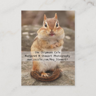 Cute Chipmunk Business Cards