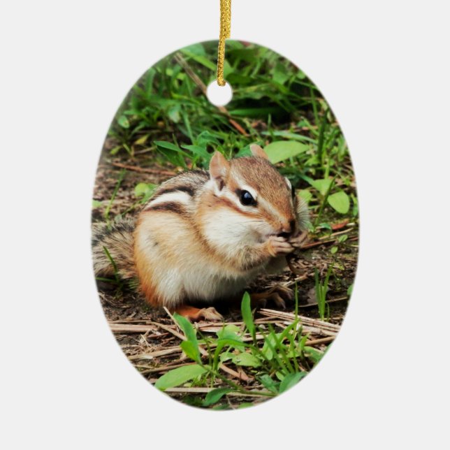 Cute Chipmunk Ceramic Tree Decoration (Front)
