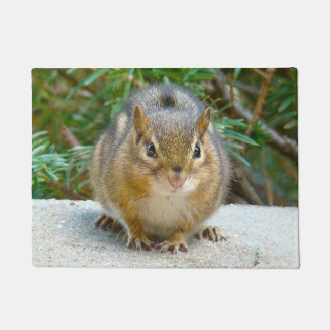 Cute Chipmunk Has His Eye On You Doormat (Front)