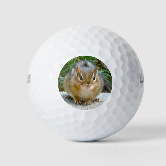 Cute Chipmunk Has His Eye On You Golf Balls (Front)
