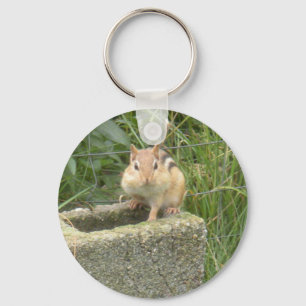 Cute Chipmunk Key Ring
