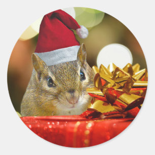 Cute Chipmunk Merry Christmas Classic Round Sticker