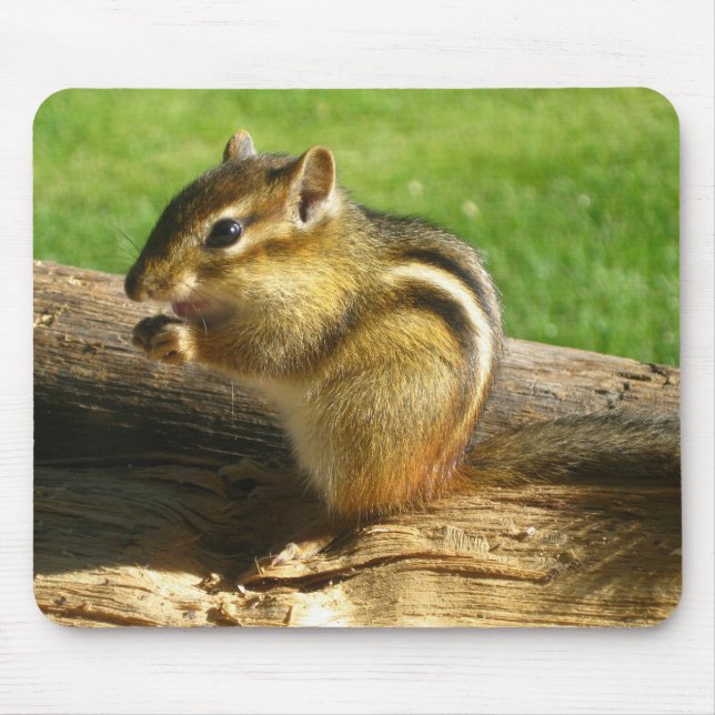 Cute Chipmunk Mouse Pad (Front)