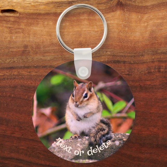 Cute Chipmunk On Rock Personalised Key Ring (Front)