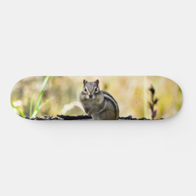 Cute Chipmunk Skateboard (Horz)